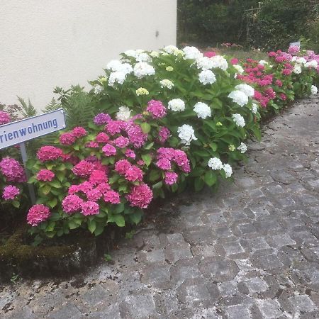 Ferienwohnung Sponheim ترابن ترارباخ المظهر الخارجي الصورة